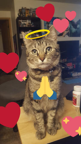 she has done nothing wrong, ever, in her life she has done nothing wrong, ever, in her life