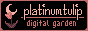 platinumtulip platinumtulip